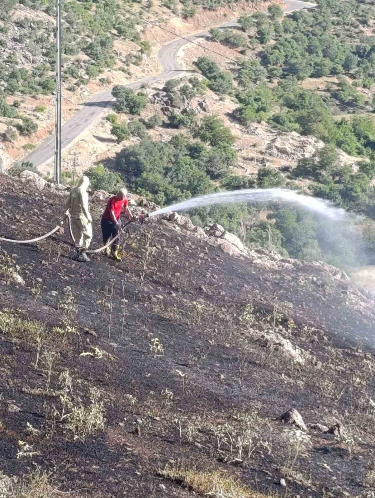 Siirt’te çıkan yangın ekiplerin müdahalesiyle söndürüldü