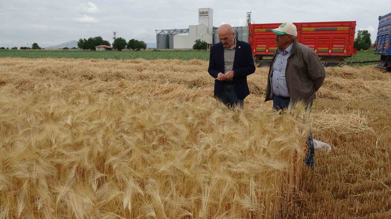 Karaman Ovası’nda yılın ilk arpa hasadı yapıldı
