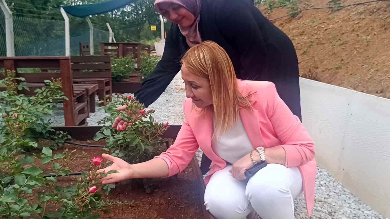 Bilecik’in ilk gül bahçesinde 40 renkte gül yetişiyor