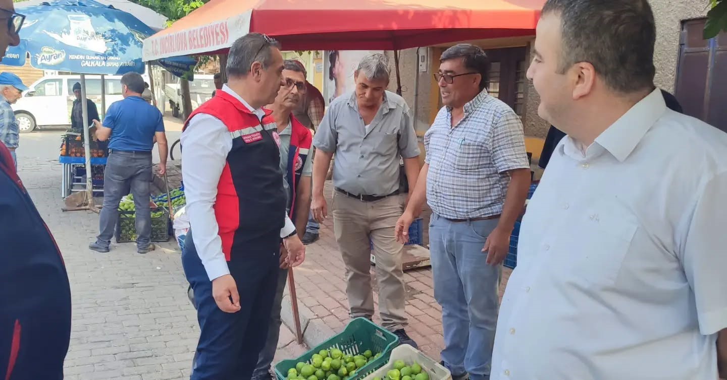 Aydın’ın dünya markası inciri için sahada yoğun mesai
