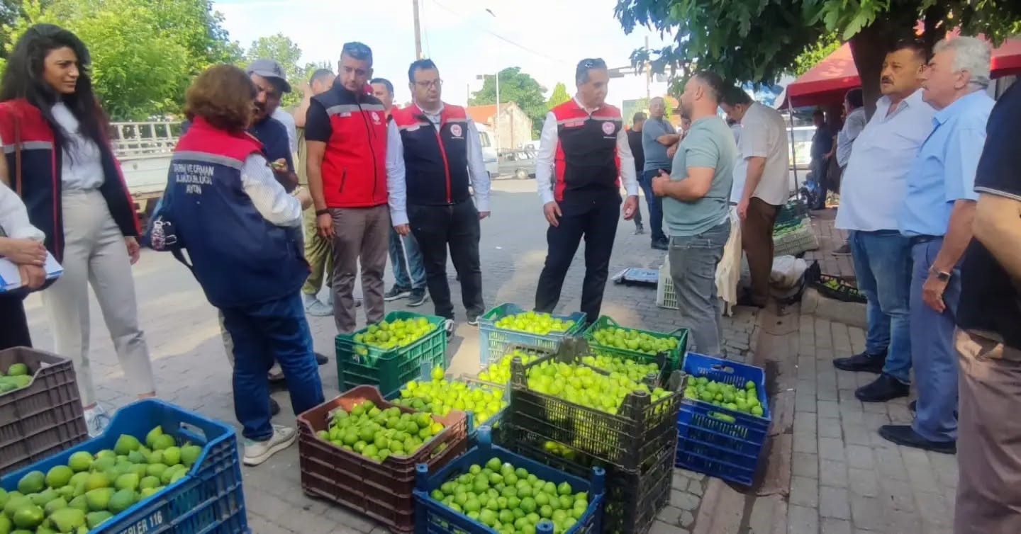 Aydın’ın dünya markası inciri için sahada yoğun mesai