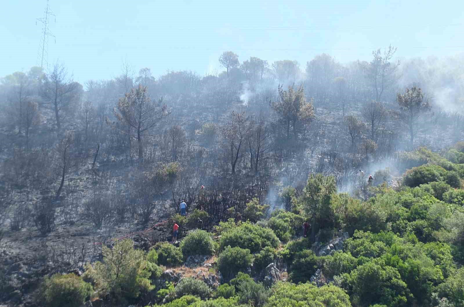 Burhaniye’de çıkan orman yangınında yaklaşık 10 dekar alan zarar gördü