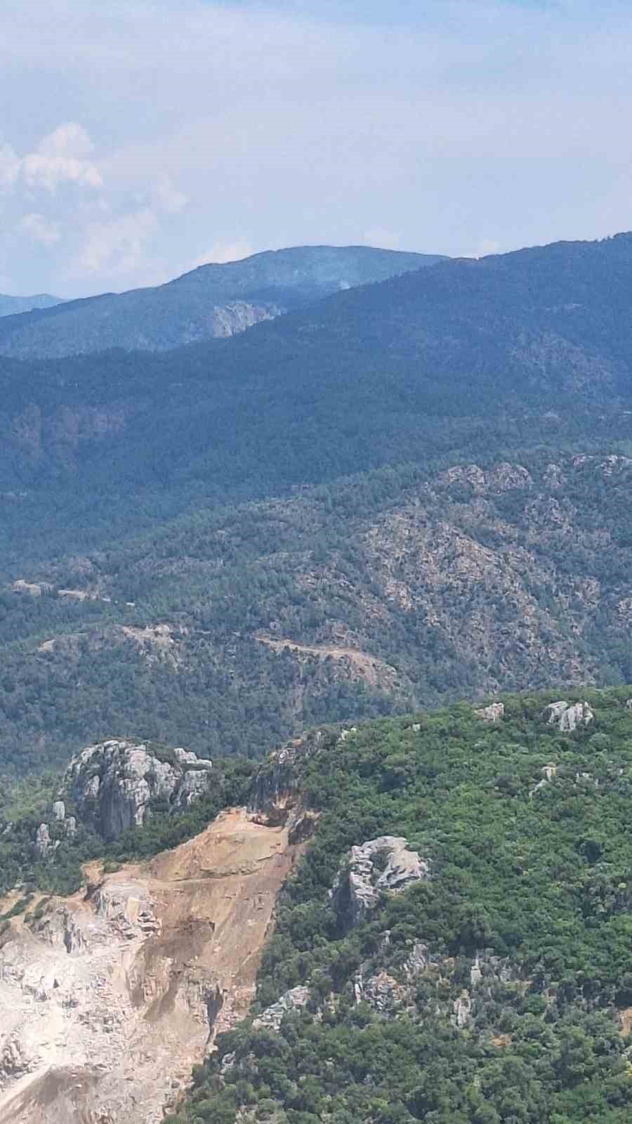 Yol kenarında çıkan yangını ormana sıçradı