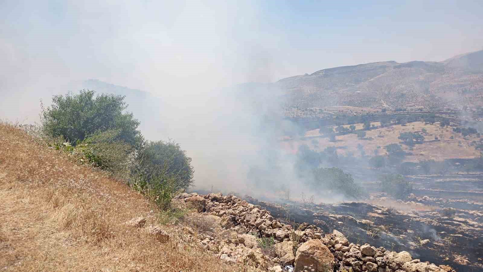 Mardin’de ormanlık alanda çıkan yangına müdahale ediliyor