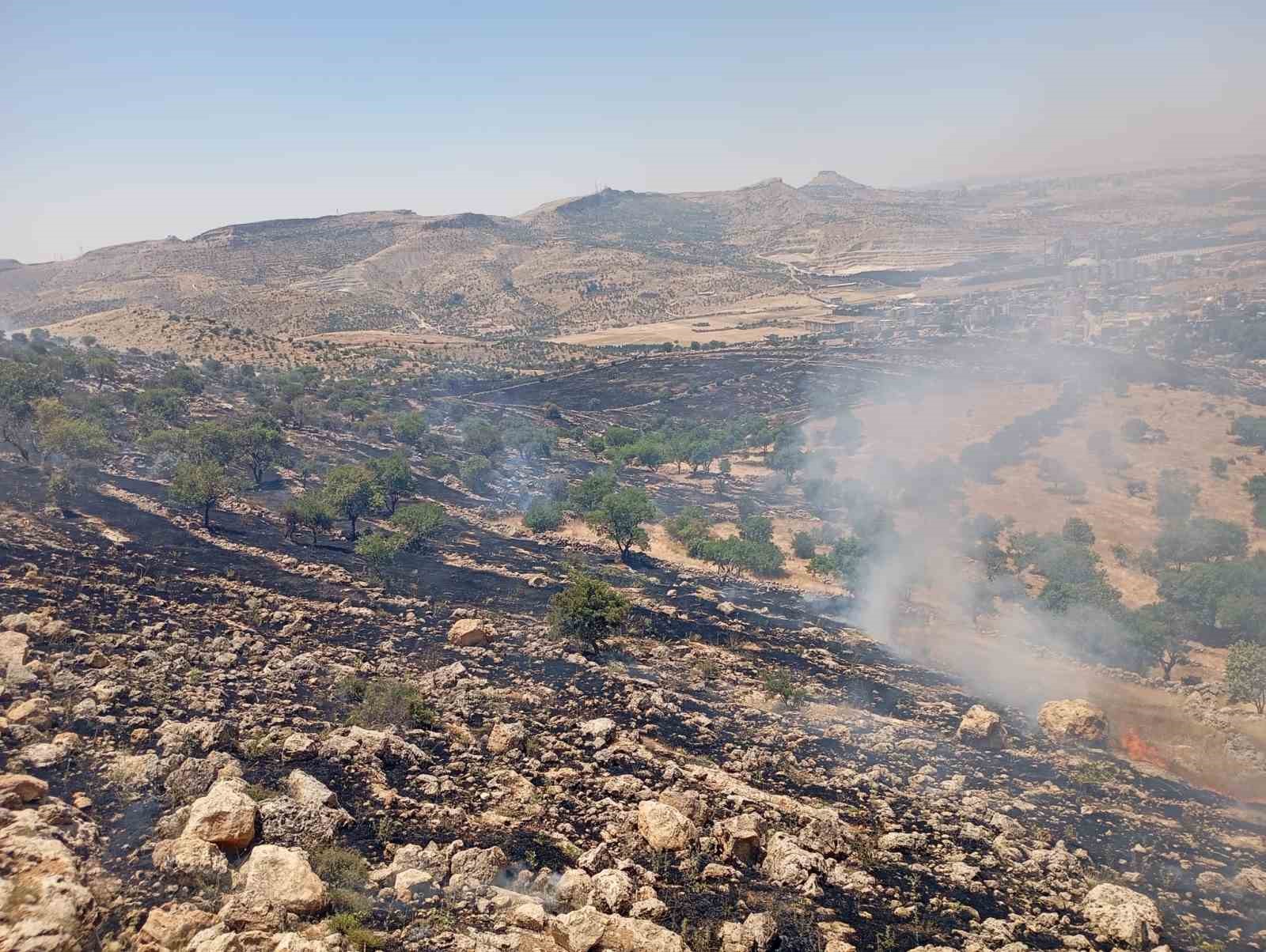 Mardin’de ormanlık alanda çıkan yangına müdahale ediliyor