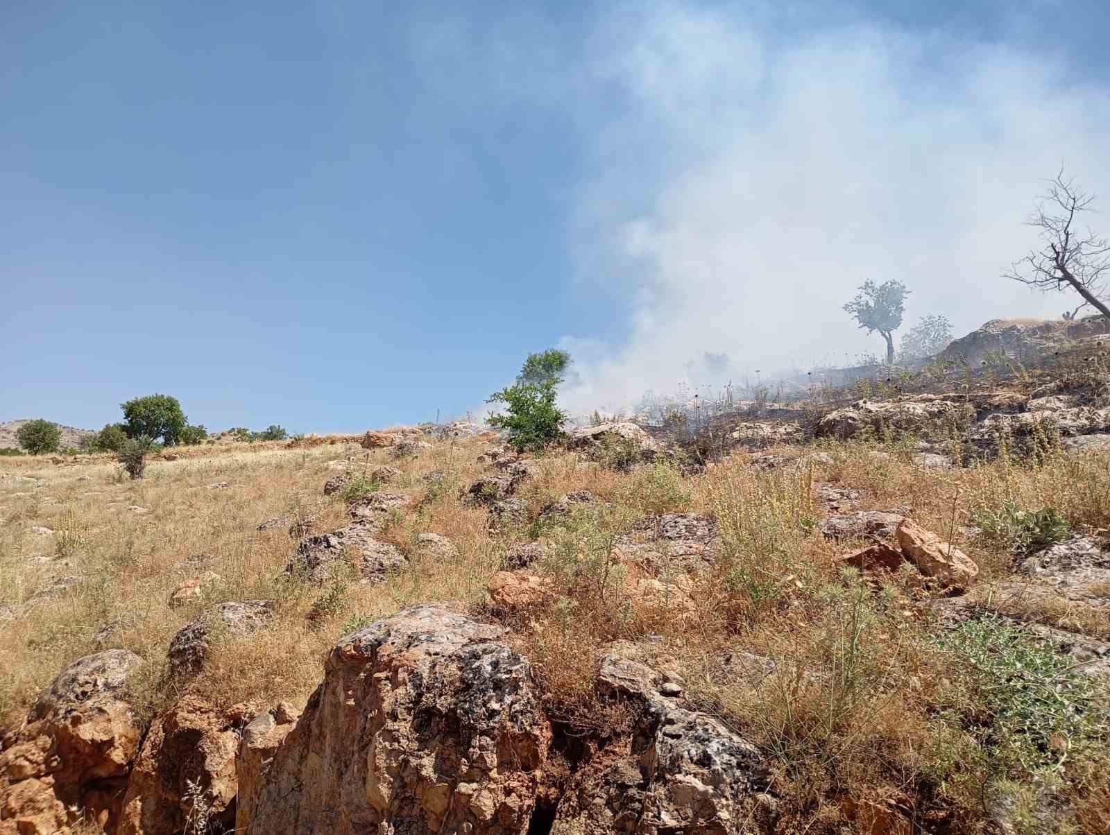 Mardin’de ormanlık alanda çıkan yangına müdahale ediliyor