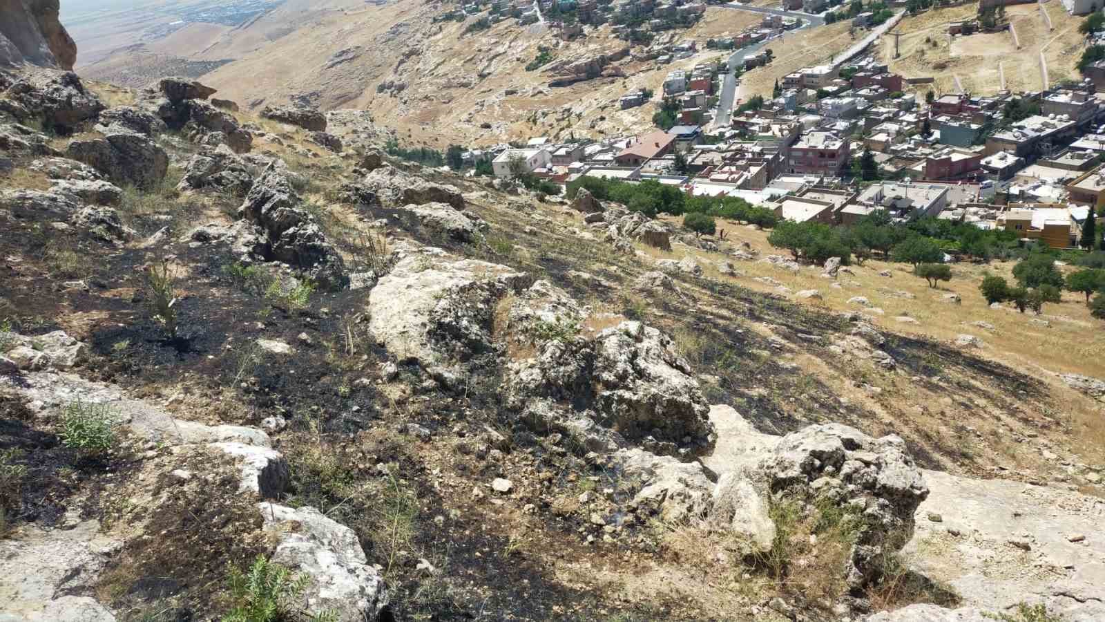 Mardin’de ormanlık alanda çıkan yangın söndürüldü