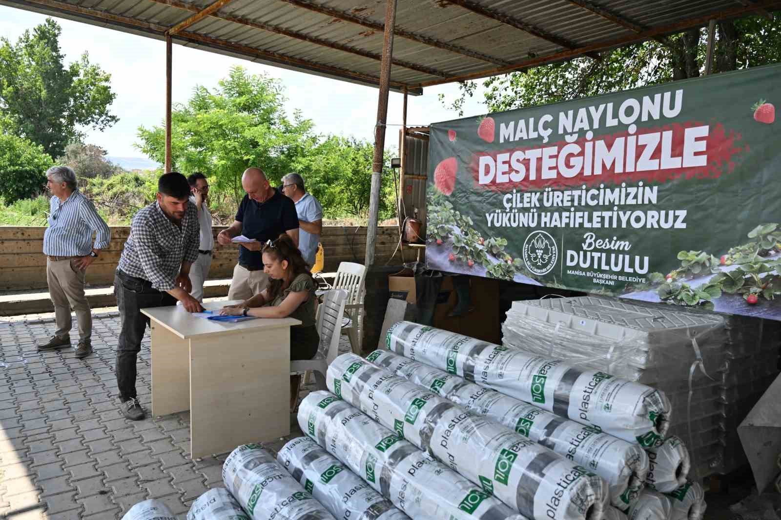 Manisa Büyükşehir’den çilek üreticilerine malç naylonu desteği