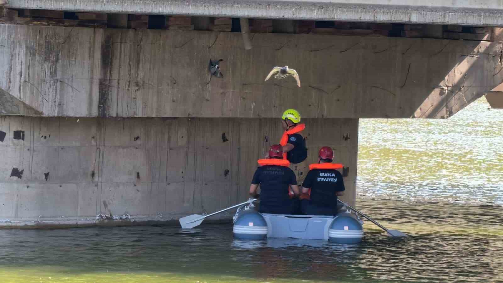 Köprü altında ipe takılan güvercini itfaiyeciler kurtardı