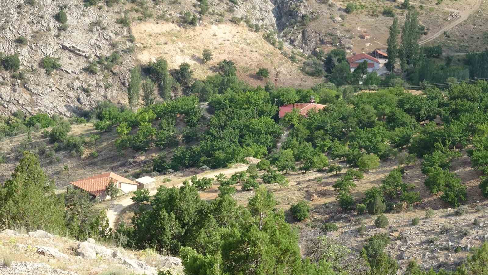 Cinayete kurban giden Aysel Yıldırım için 1600 rakımlı dağlık alanda arama