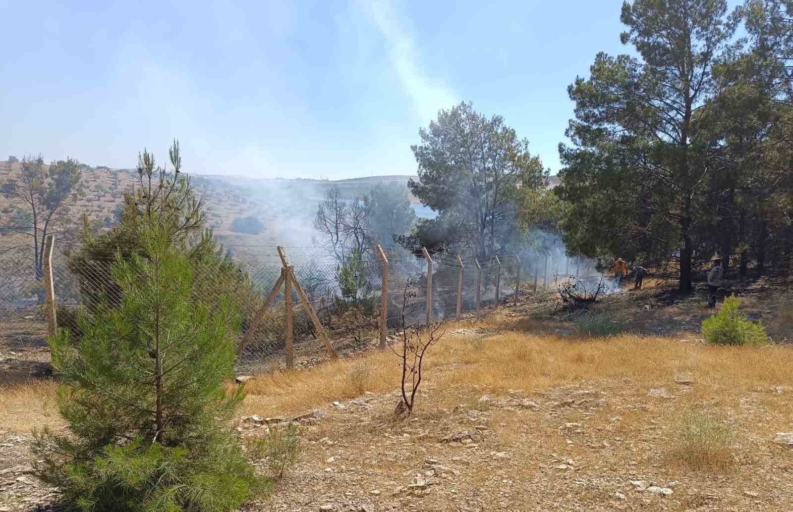 Şanlıurfa’da orman yangını