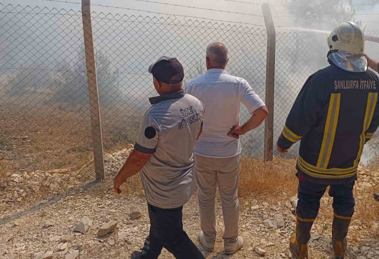 Şanlıurfa’da orman yangını