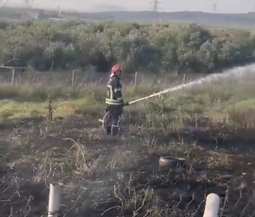 Osmaniye’de tankerin lastiklerinden çıkan yangın zeytin bahçesine sıçradı