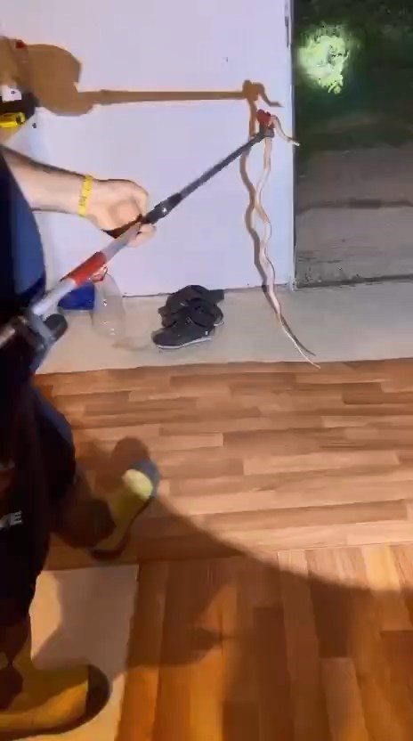 Buzdolabının içerisine giren yılanı itfaiye ekipleri çıkardı
