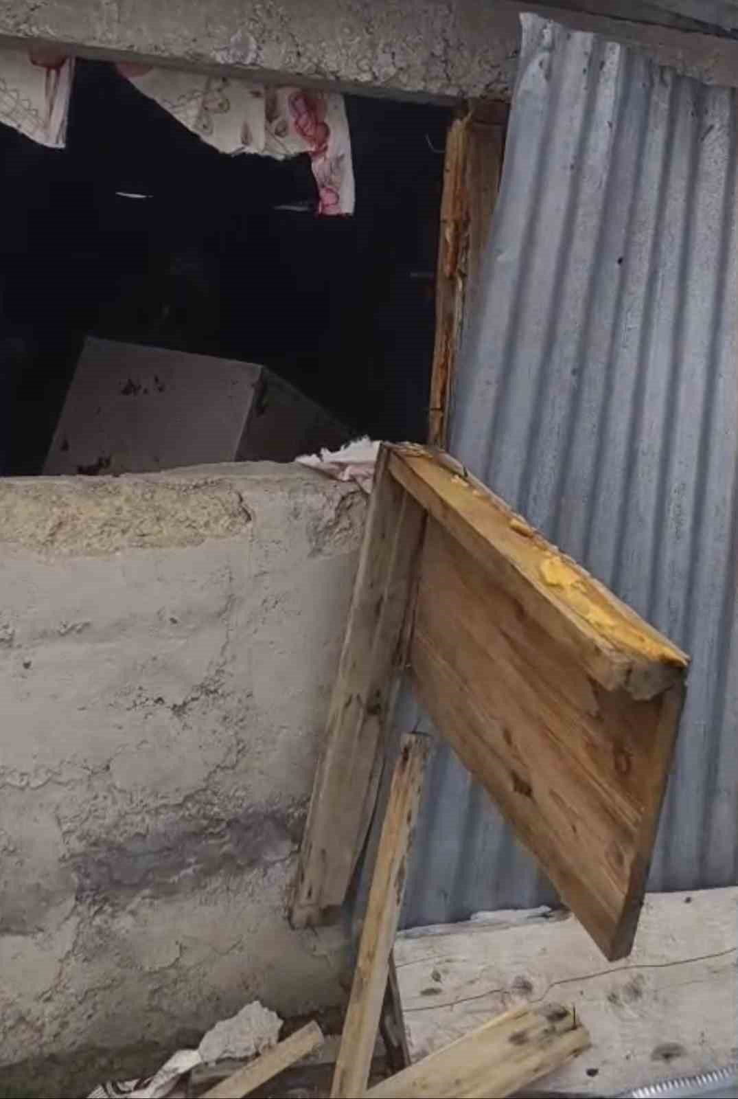 Bir günde 20 eve giren ayı yayla sakinlerini canından bezdirdi