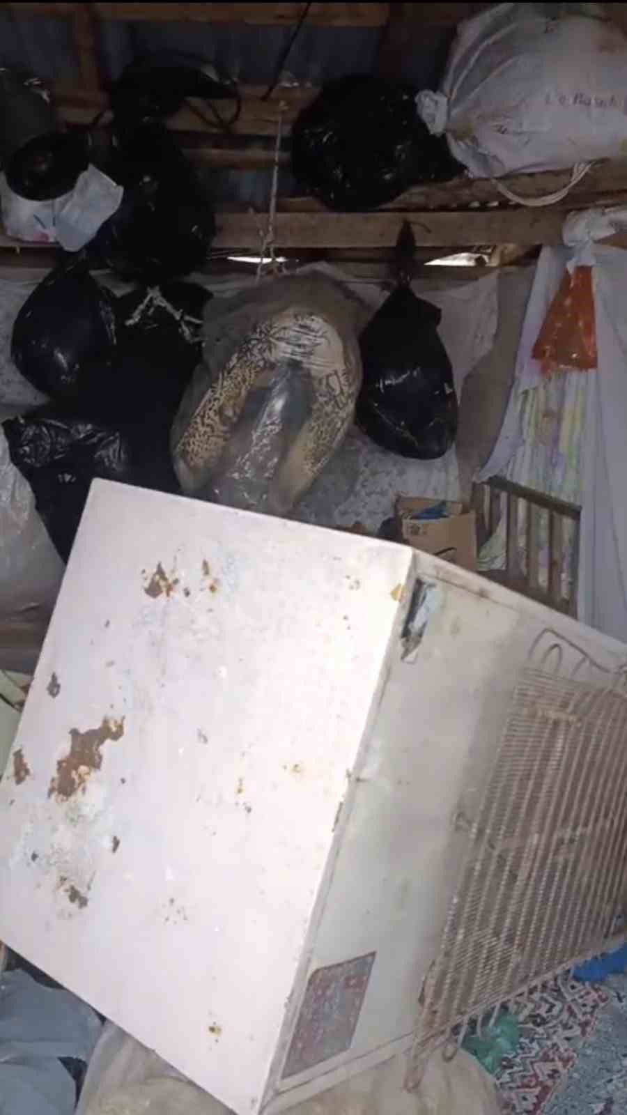 Bir günde 20 eve giren ayı yayla sakinlerini canından bezdirdi