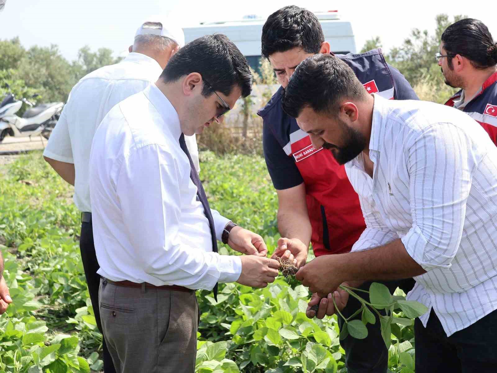 Arsuz’da soya ekimi yapıldı