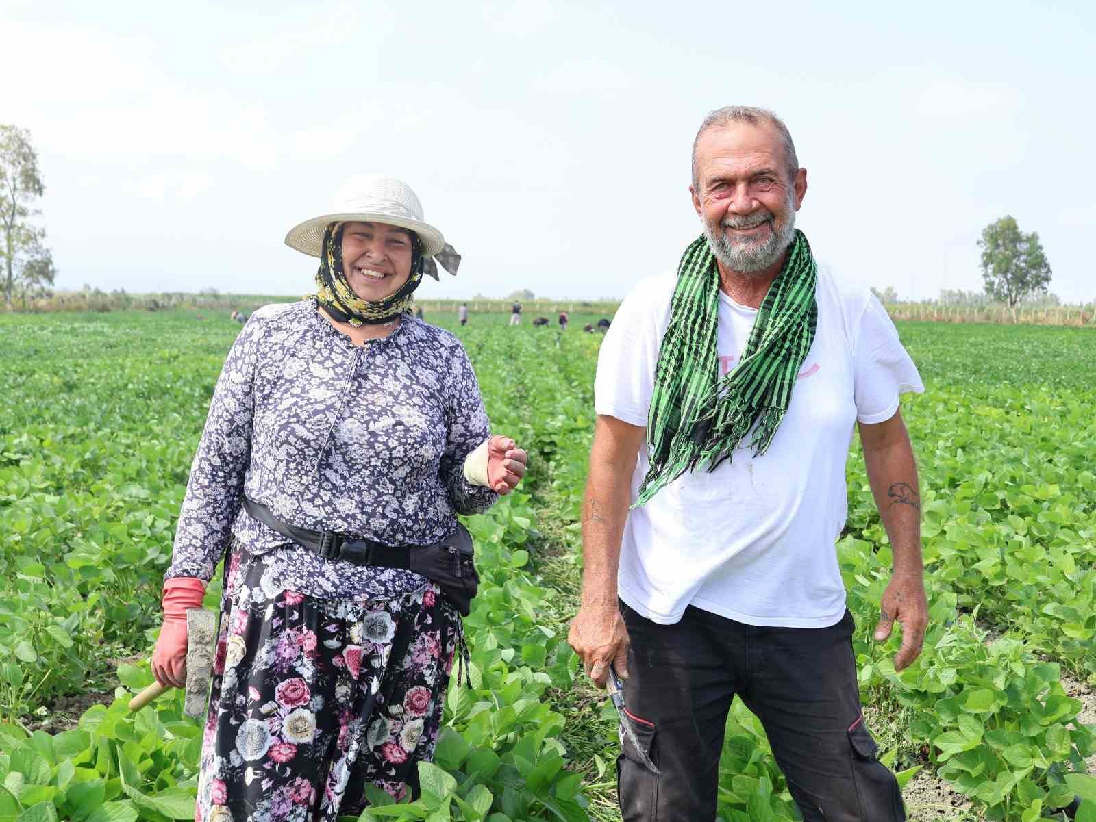 Arsuz’da soya ekimi yapıldı