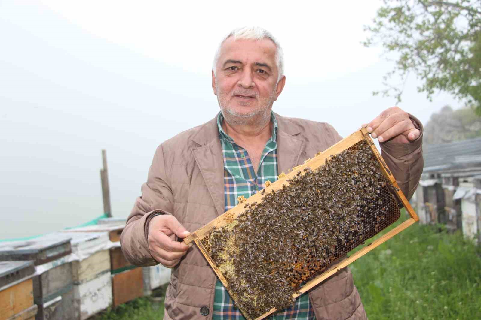 Anzer Balı’nın yeni sezon kilogram satış fiyatı 7 Bin TL olarak belirlendi