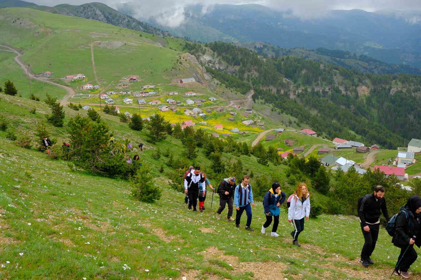 Gümüşhane yaylaları çiçek tarlasına dönüştü