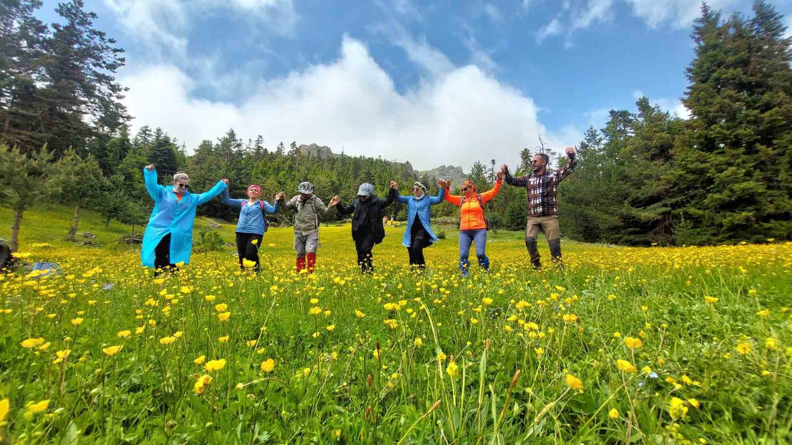 Gümüşhane yaylaları çiçek tarlasına dönüştü