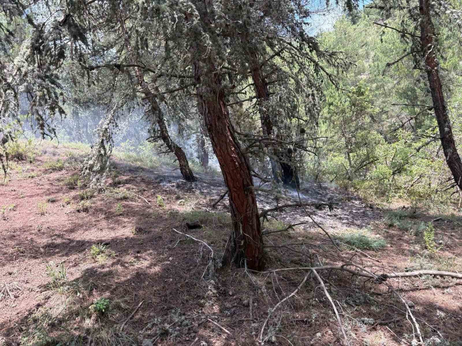 Bilecik’te ormanlık alana yıldırım düştü