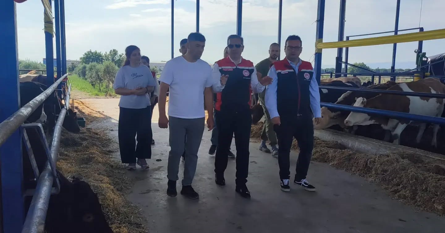 Kırsalda Bereket Hayvancılığa Destek Projesi ile Aydın’da üretim gücü artıyor