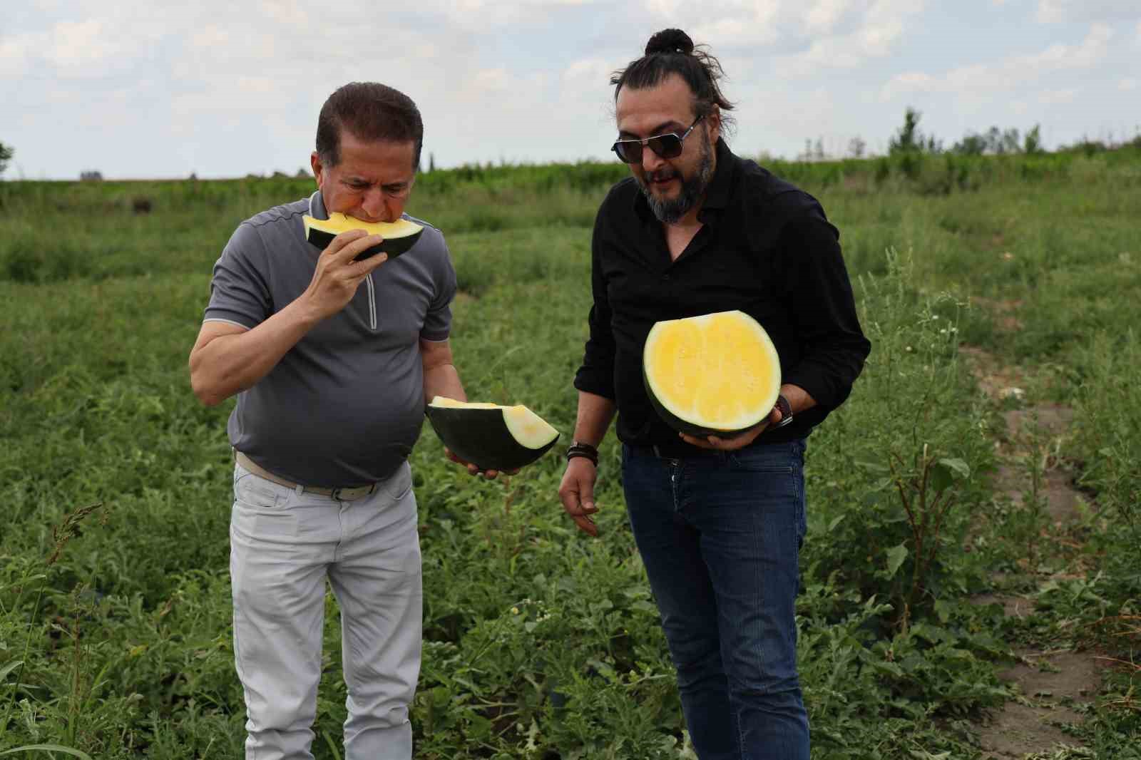 Bu karpuzu görenler hayrete düşüyor: kabuğu yeşil, içi sarı