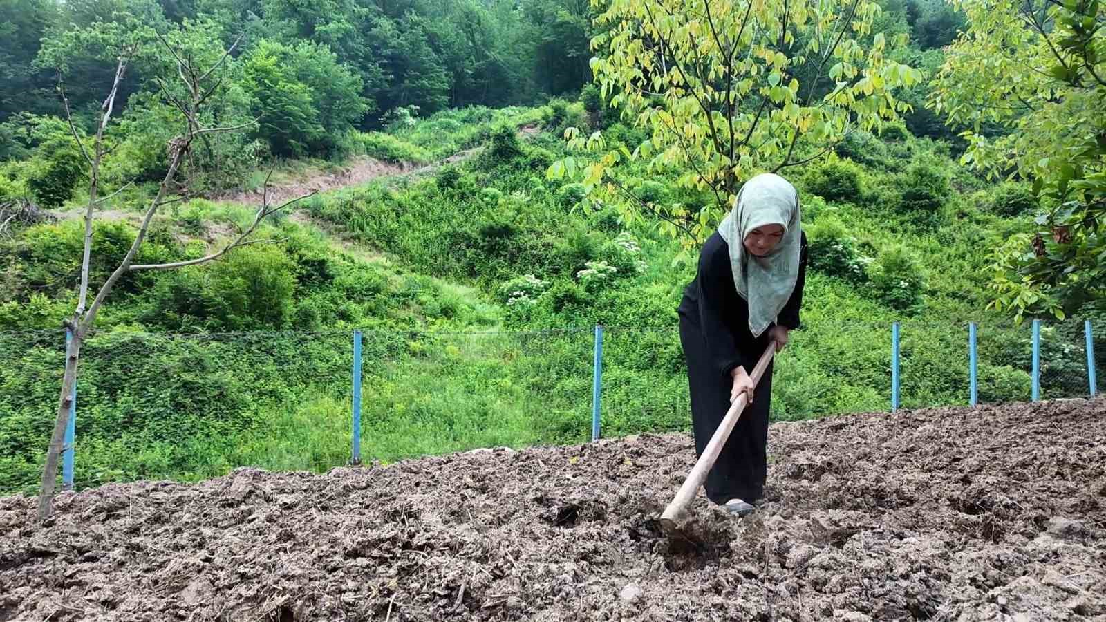 Doğaya aşık üretici kadının başarı hikayesi