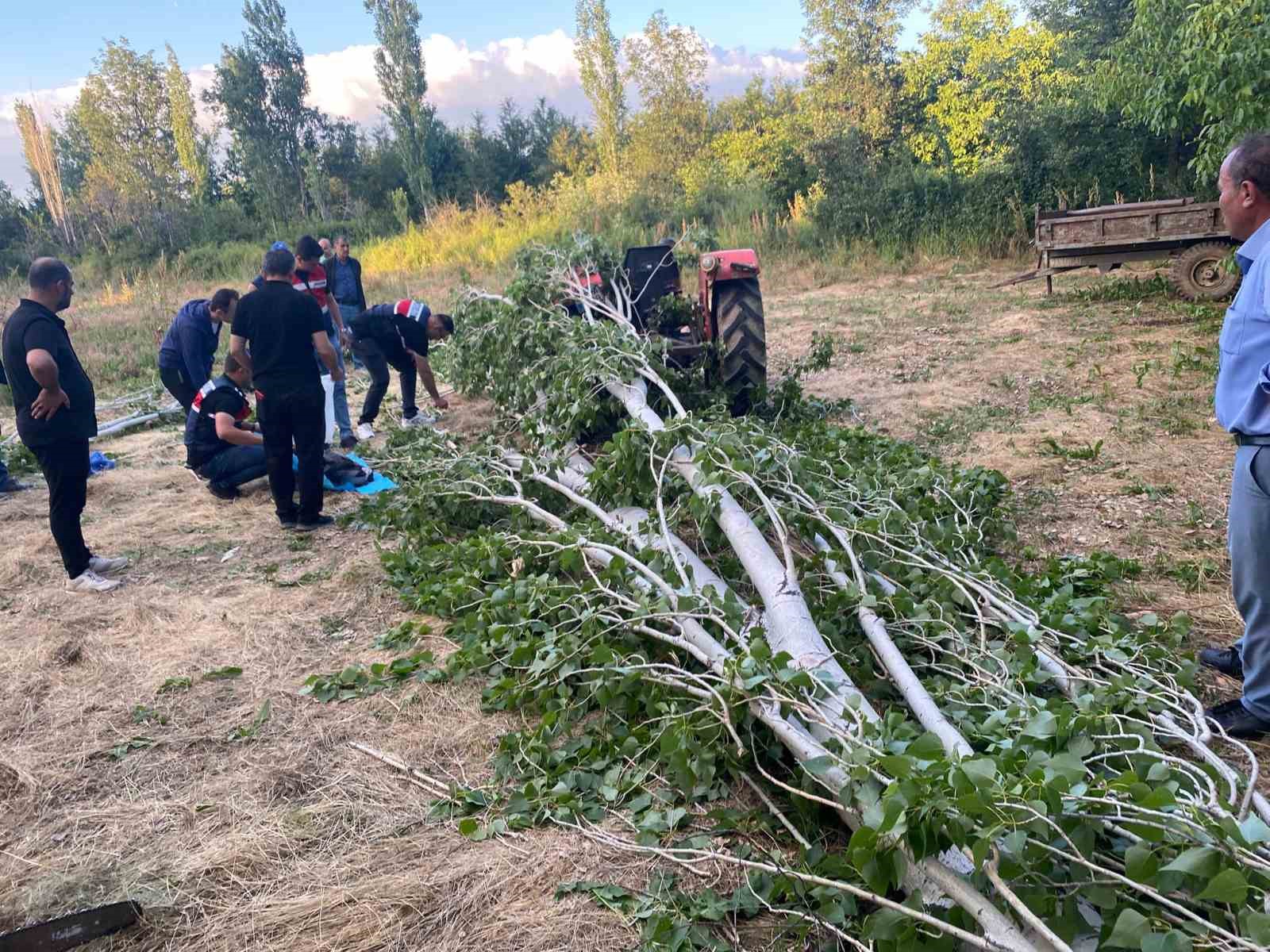 Isparta’da kestiği ağacın altında kalan adam hayatını kaybetti