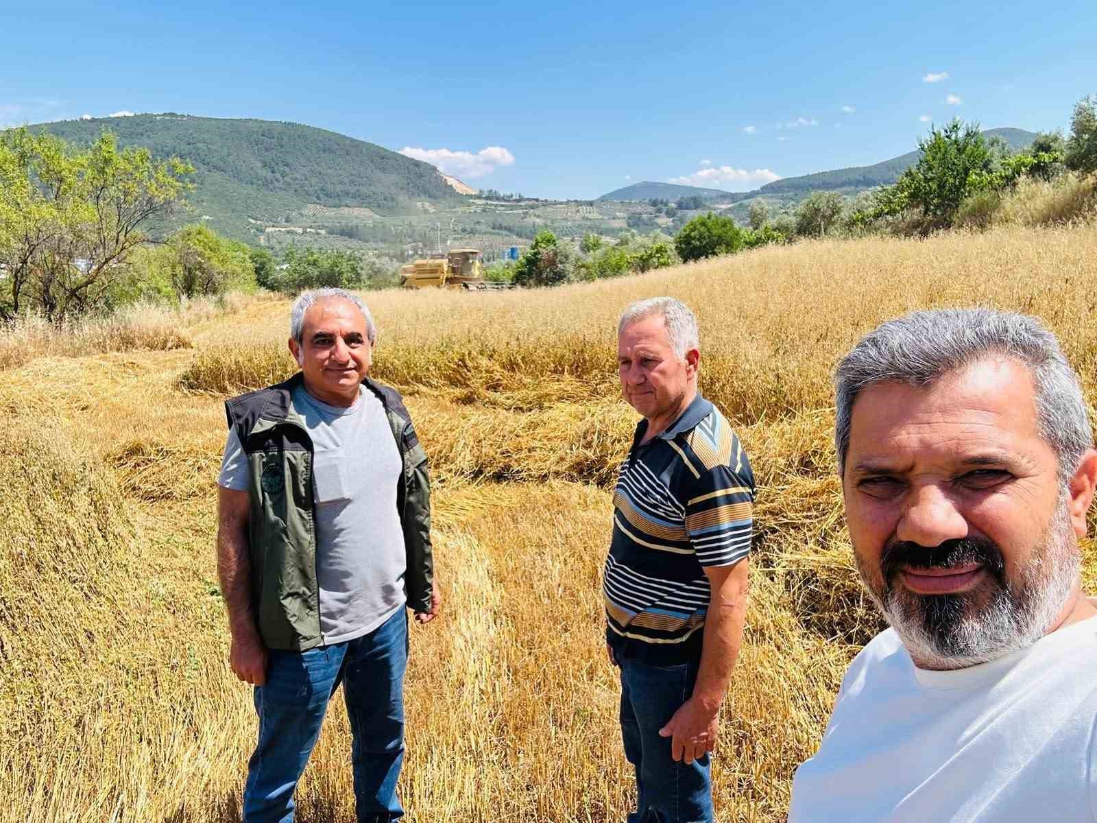 Menteşe’de biçerdöverlere sıkı denetim