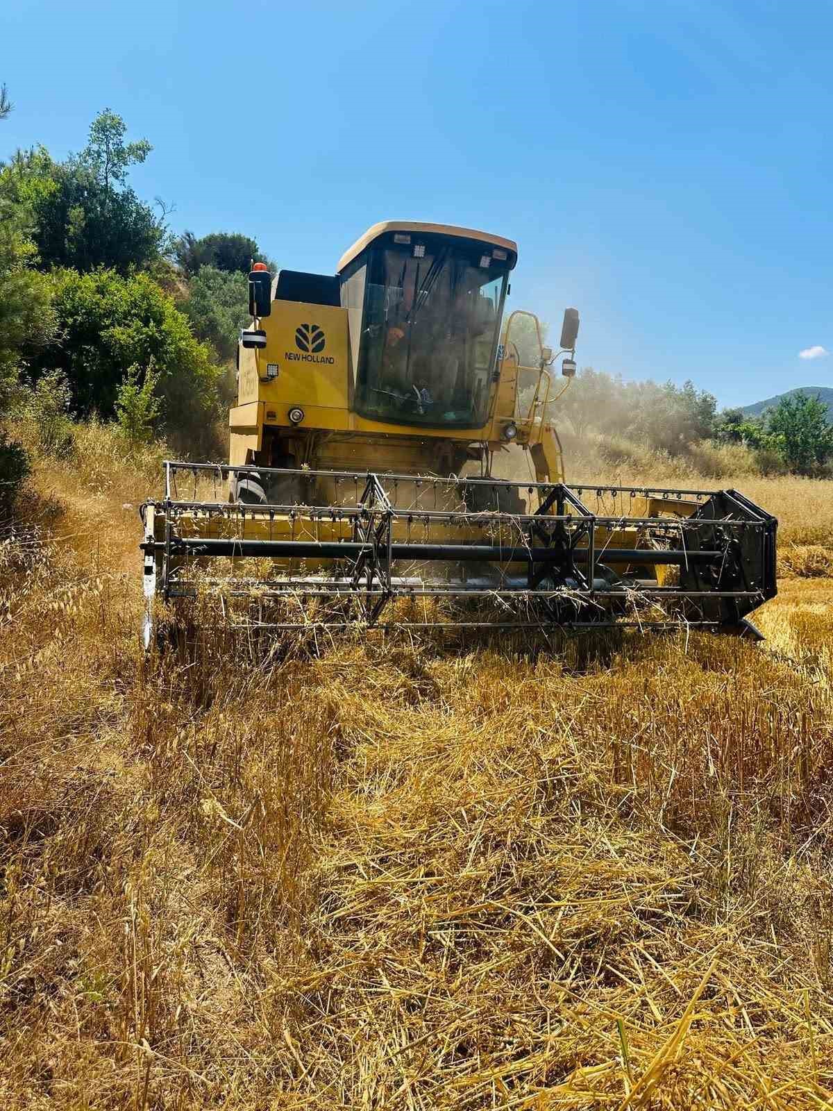 Menteşe’de biçerdöverlere sıkı denetim