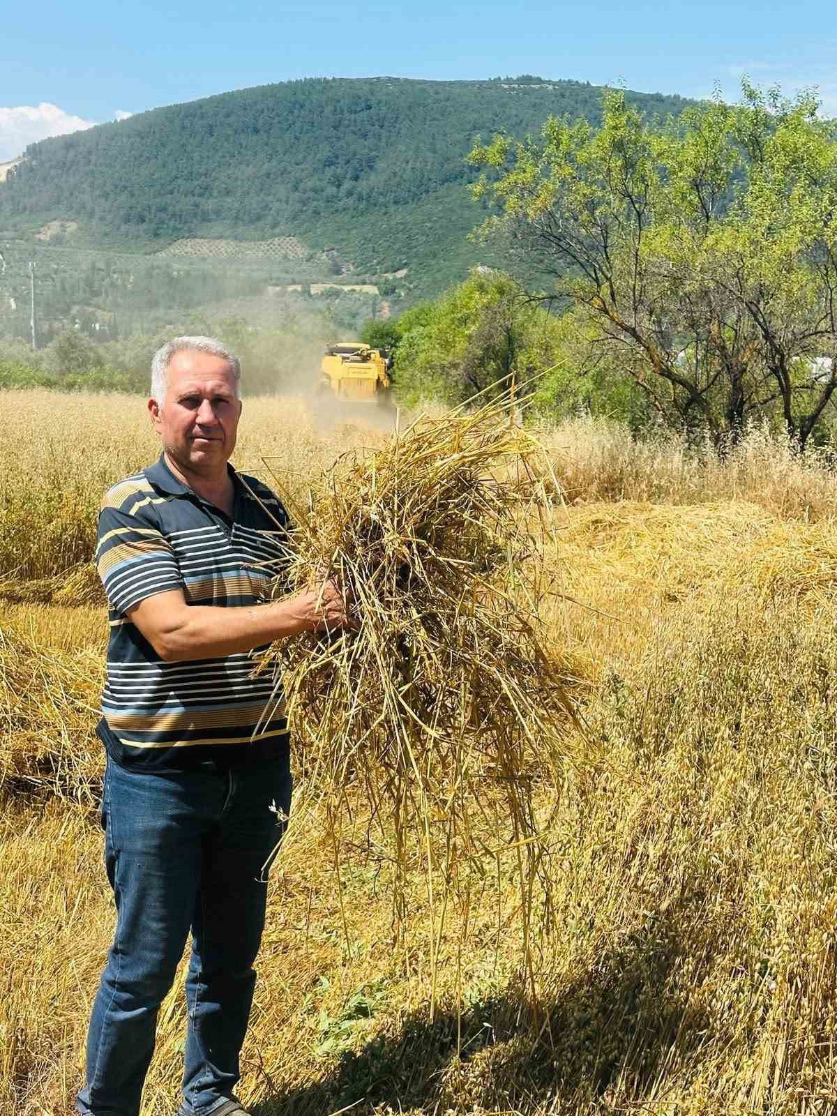 Menteşe’de biçerdöverlere sıkı denetim