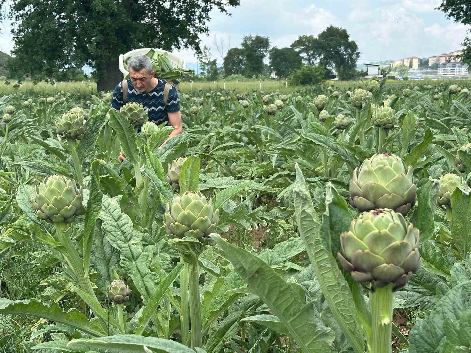 Milyonlarca liralık konutların arasında tarımsal üretim mücadelesi