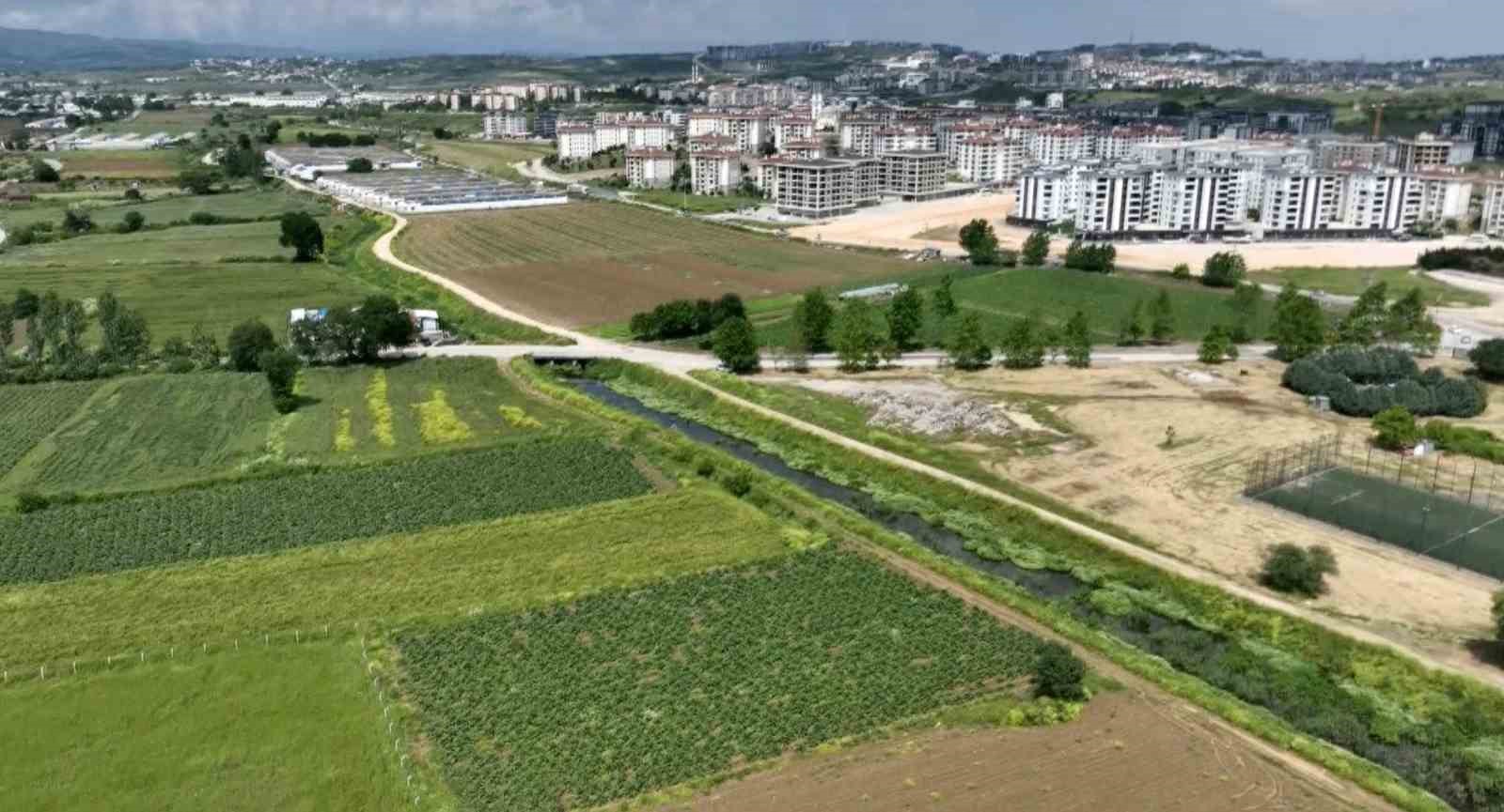 Milyonlarca liralık konutların arasında tarımsal üretim mücadelesi