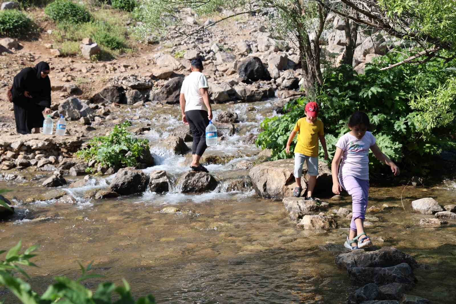 Munzur Gözeleri’nde yaz yoğunluğu başladı