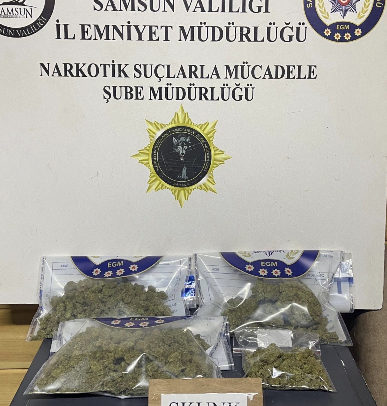 Samsun’da uyuşturucu ve silah operasyonu