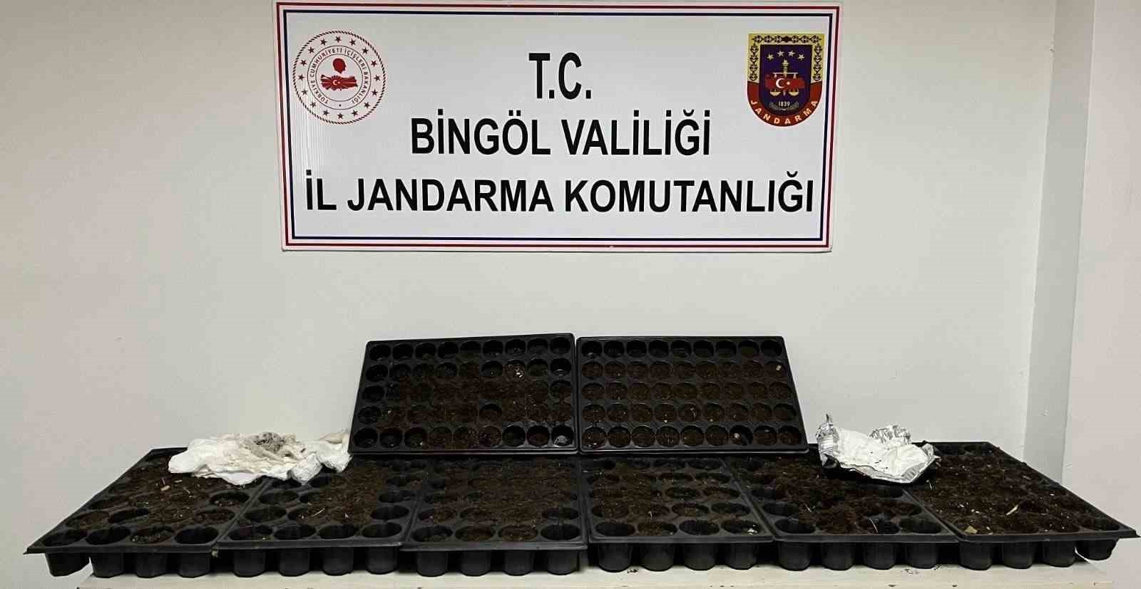 Bingöl’de kesinleşmiş hapis cezası bulunan 4 zanlı tutuklandı