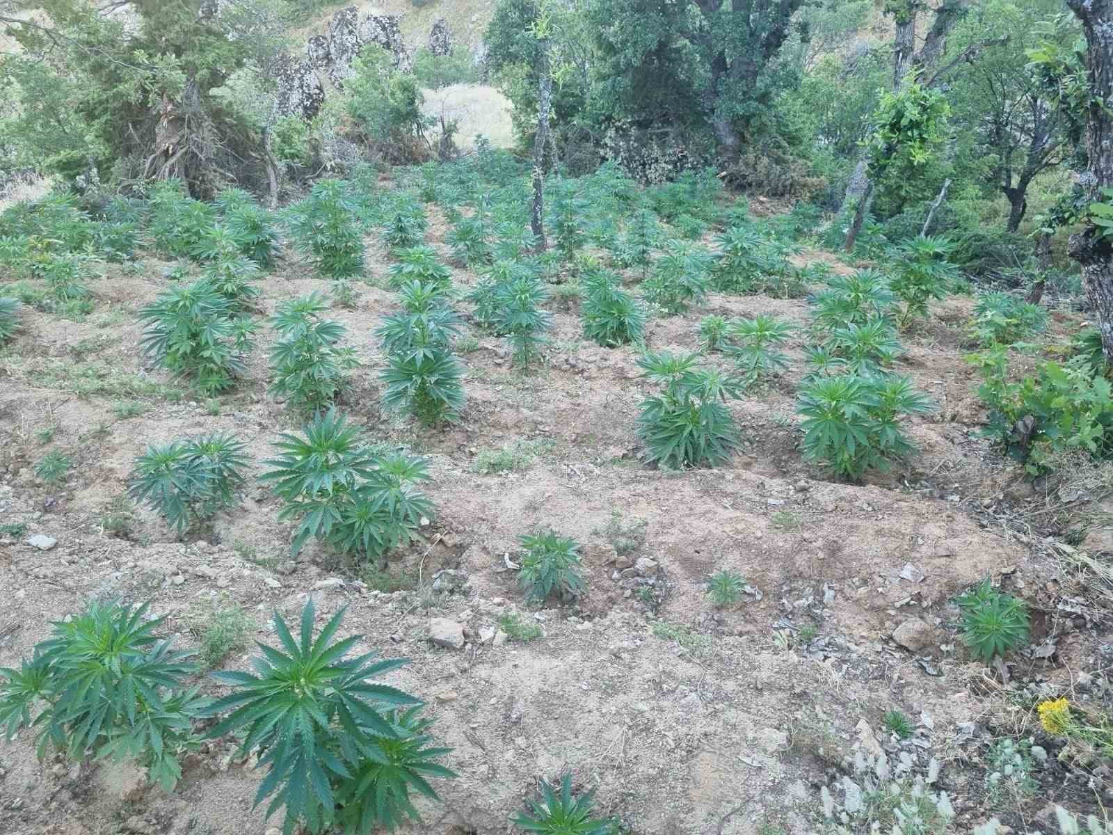 Bingöl’de kesinleşmiş hapis cezası bulunan 4 zanlı tutuklandı