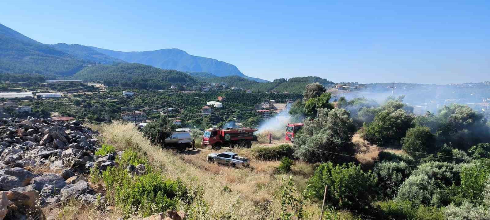 Alanya’da zirai alanda çıkan yangında 1 dönüm zarar gördü