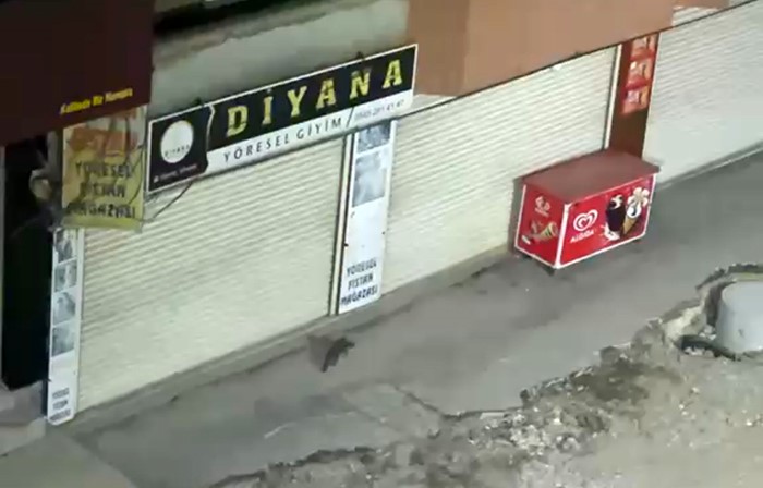 Yüksekova’da gece yarısı kameralara yakalandı: Görenler gözlerine inanamadı