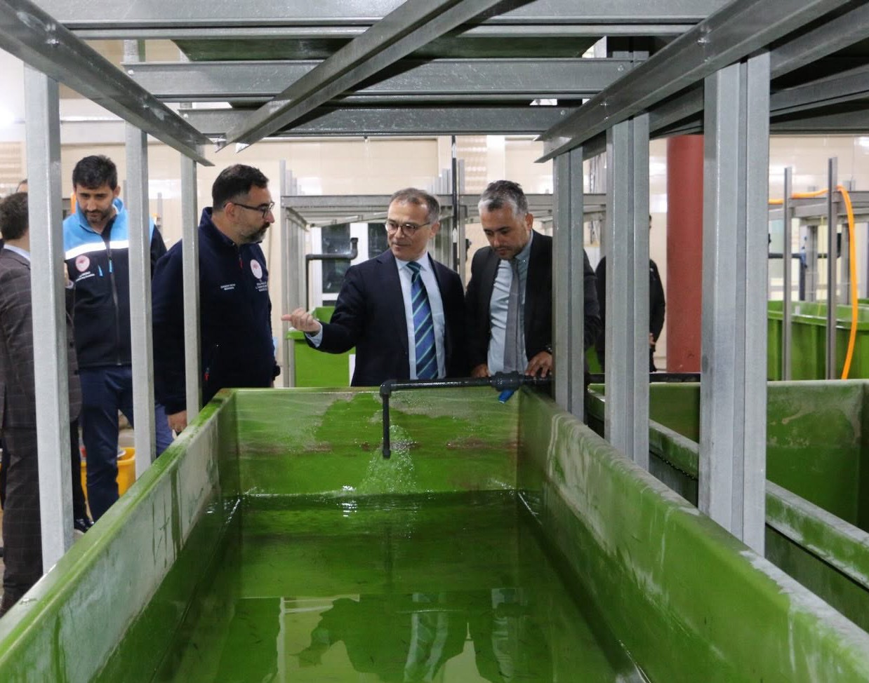 Abant Gölü’ne 100 bin endemik Abant alası bırakıldı