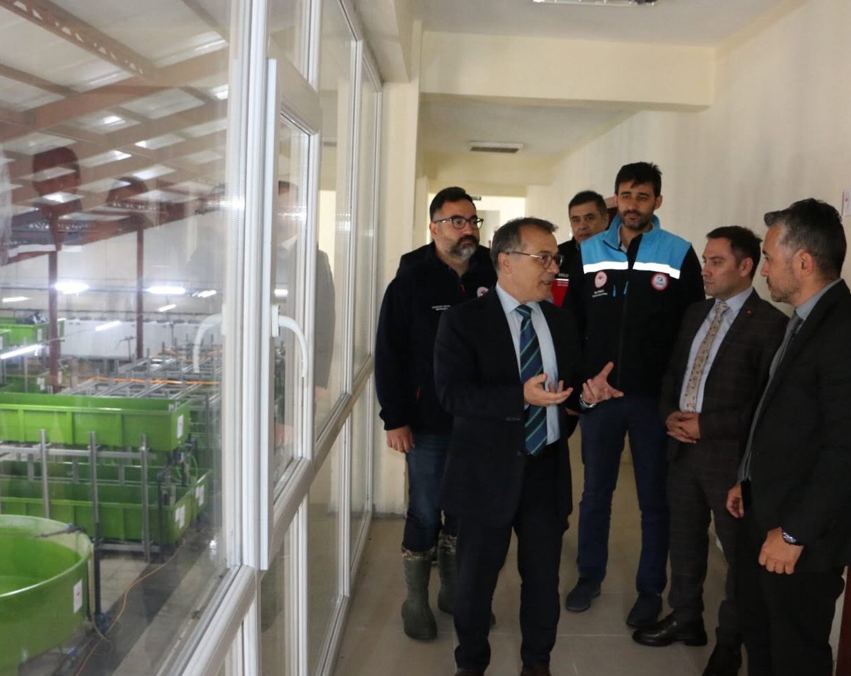 Abant Gölü’ne 100 bin endemik Abant alası bırakıldı