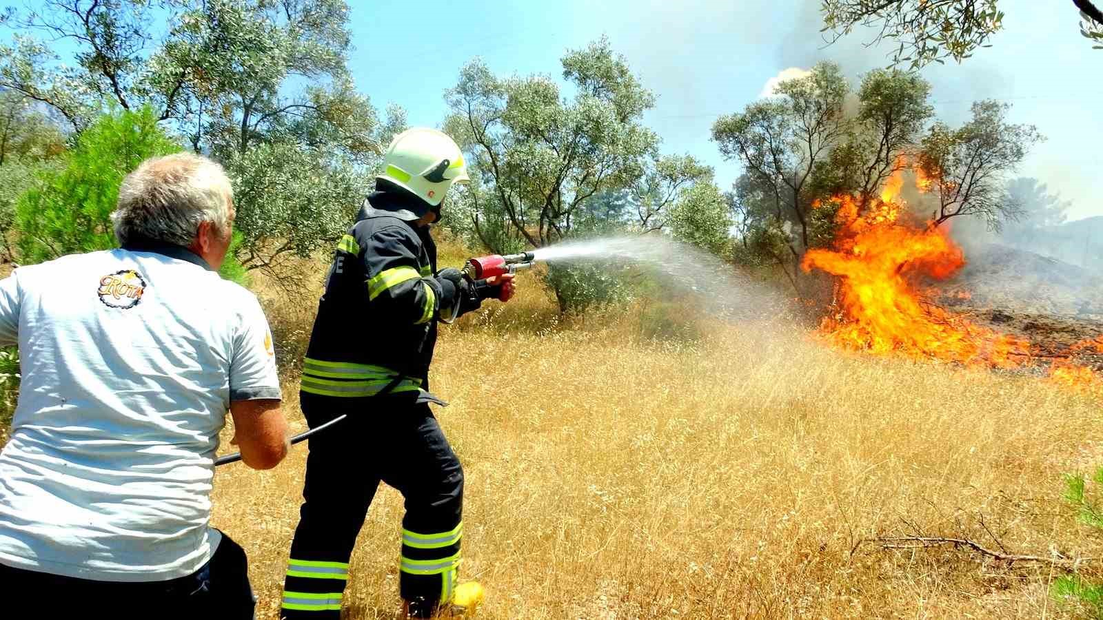 Menteşe’de zeytinlik yangını
