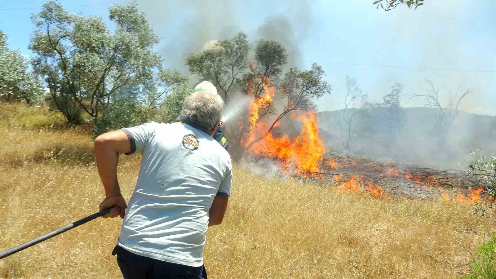 Menteşe’de zeytinlik yangını