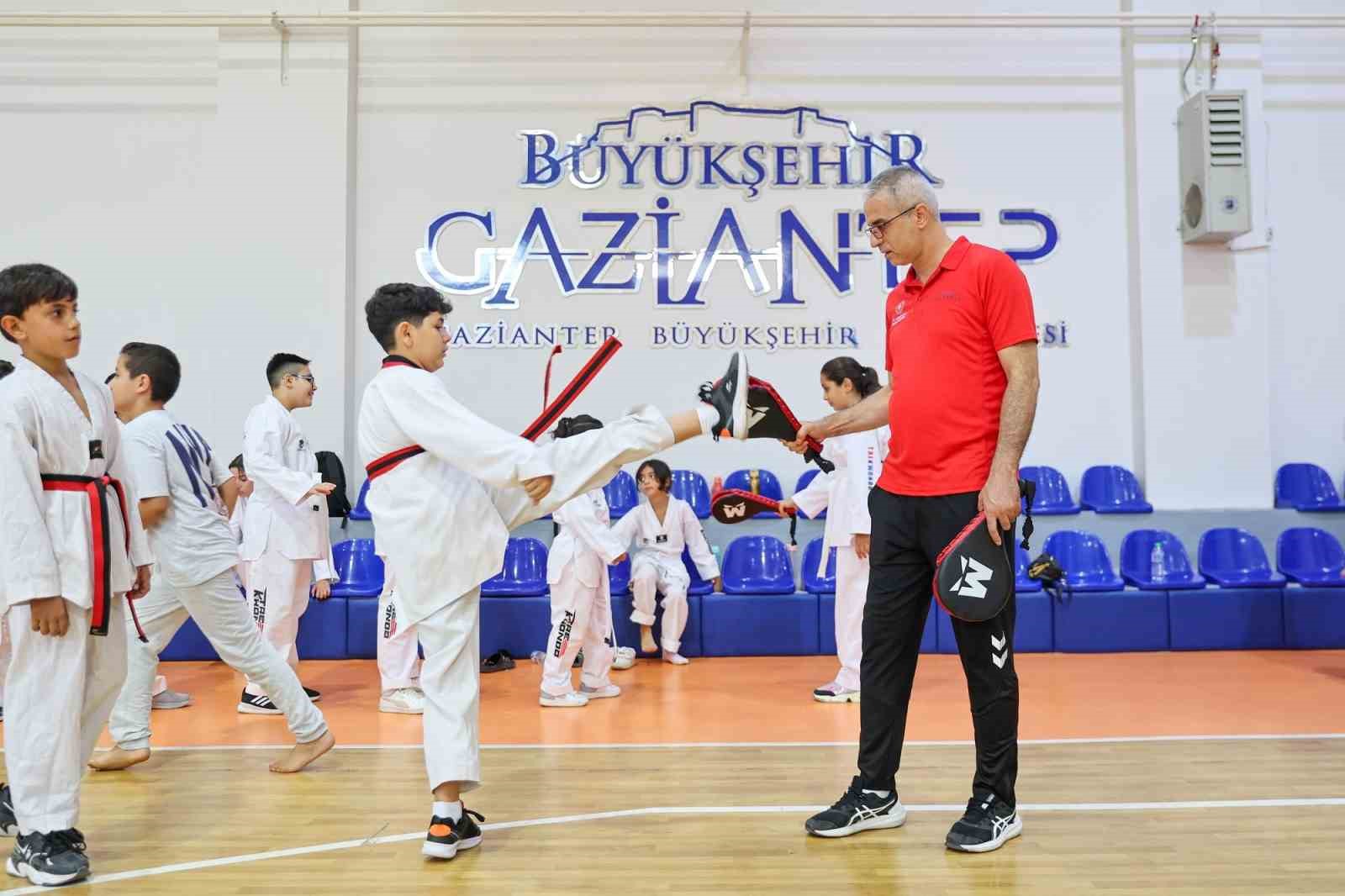 Şahin’den yaz okulları açıklaması