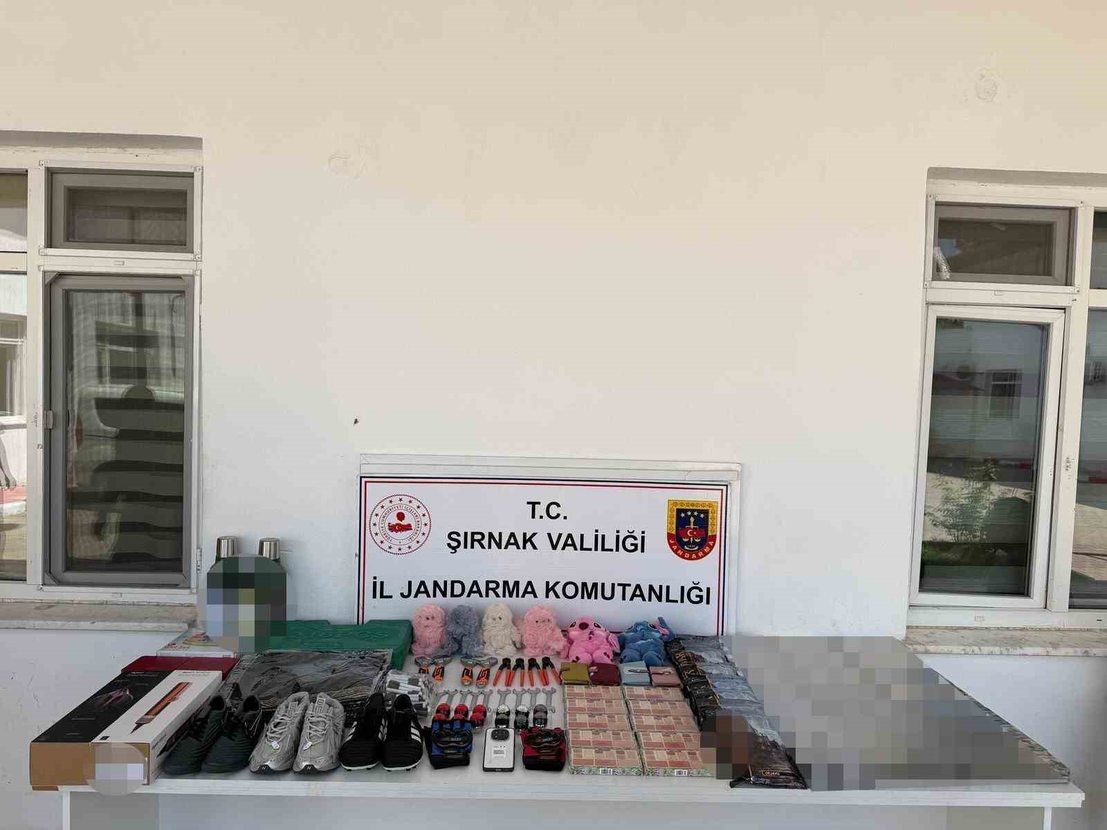 Şırnak’ta jandarmadan asayiş ve kaçakçılık operasyonu: 94 şüpheli hakkında adli işlem yapıldı