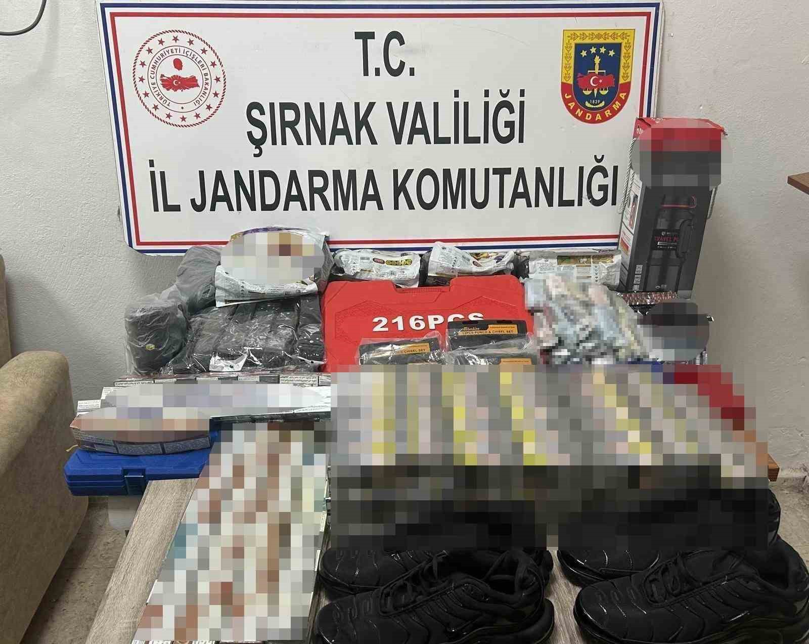 Şırnak’ta jandarmadan asayiş ve kaçakçılık operasyonu: 94 şüpheli hakkında adli işlem yapıldı