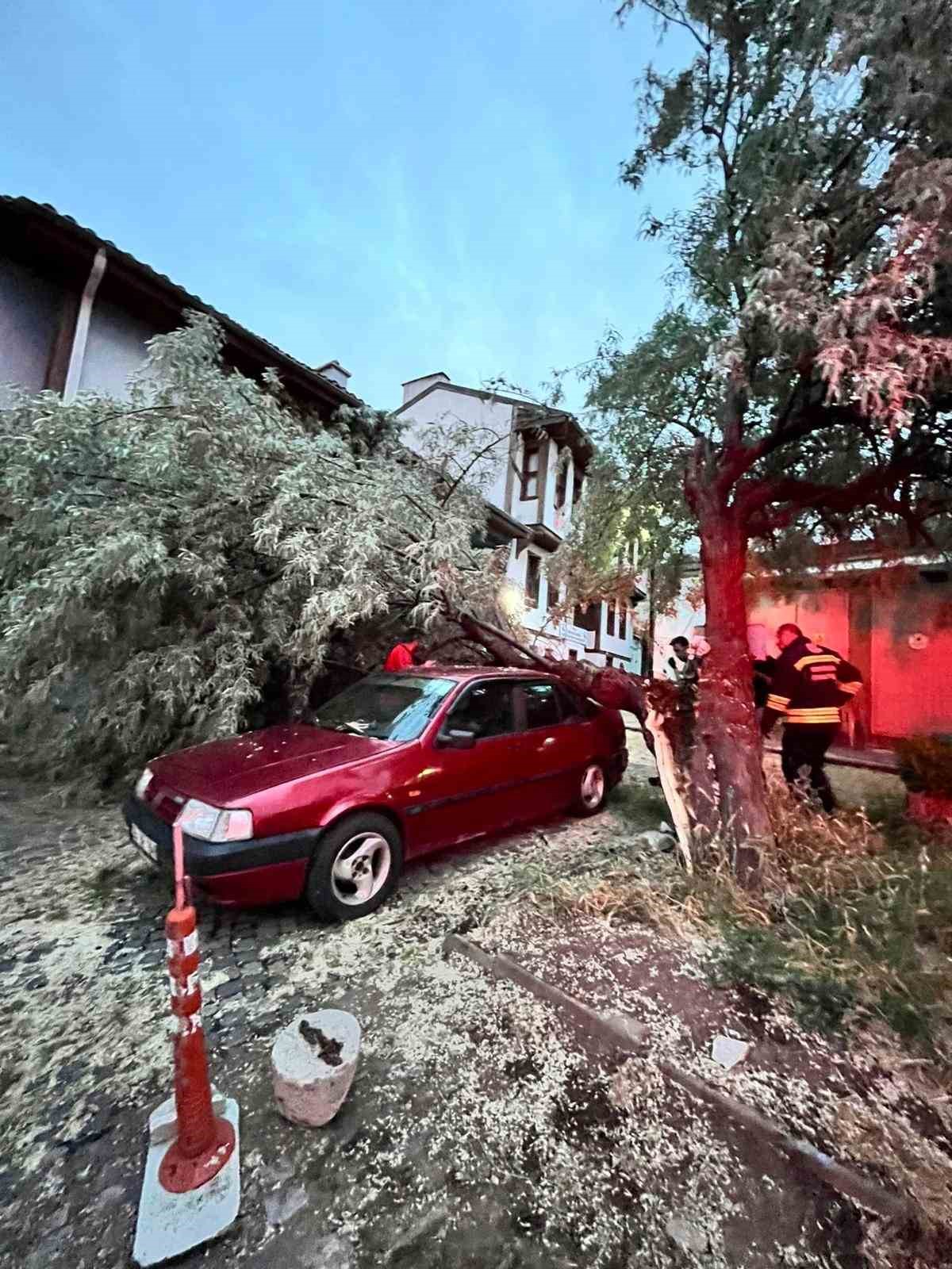 Araç üzerine düşen ağaç itfaiye ekiplerinin titiz çalışmasıyla kaldırıldı