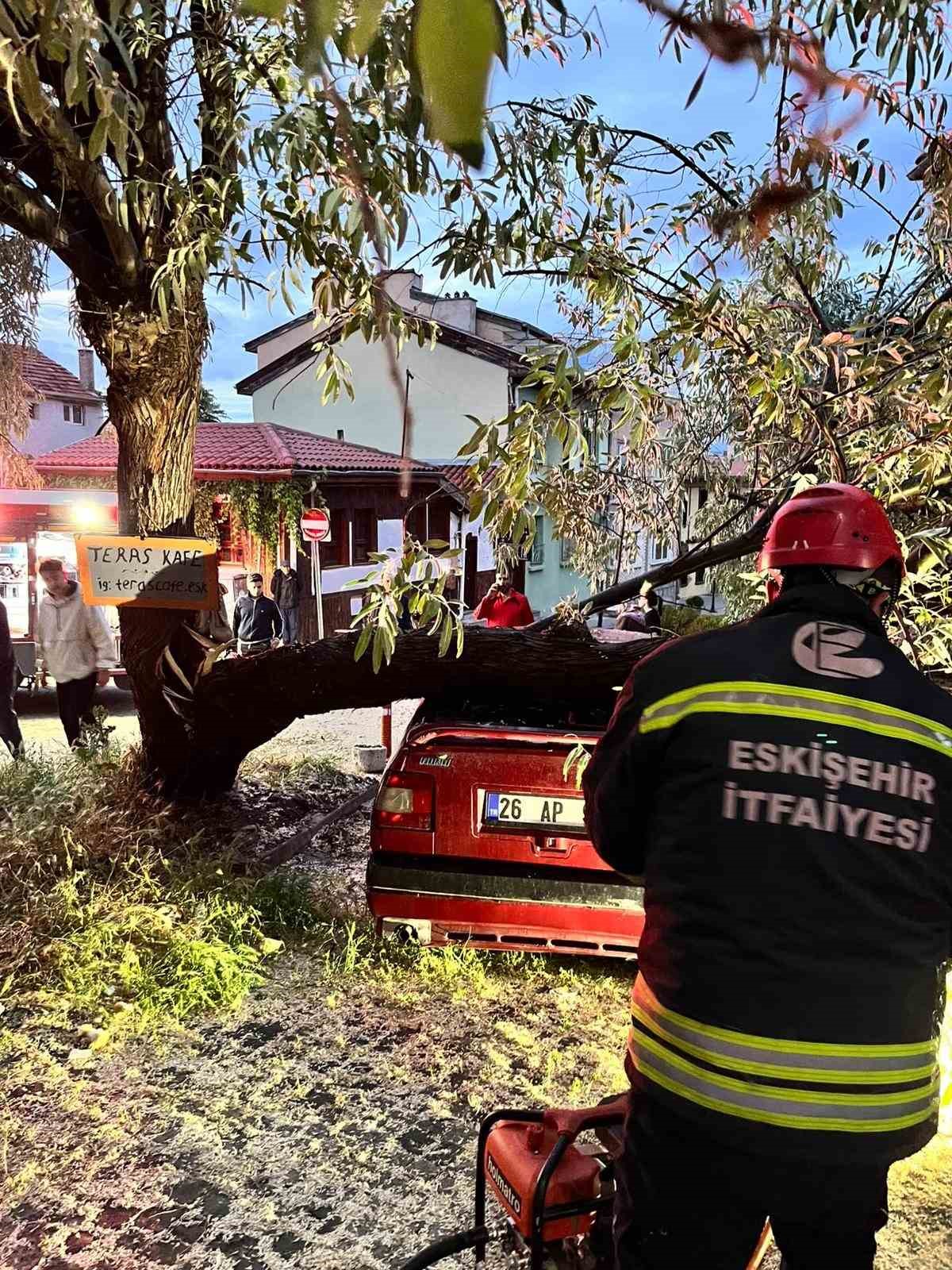 Araç üzerine düşen ağaç itfaiye ekiplerinin titiz çalışmasıyla kaldırıldı
